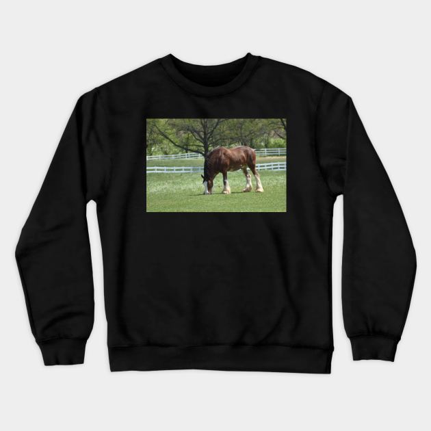 Clydesdale Crewneck Sweatshirt by MarieDarcy